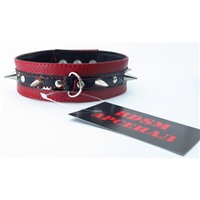 BDSM Арсенал ошейник с кольцом для поводка, красно-черный
Декорирован шипами