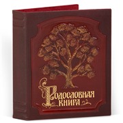 Родословная книга Изысканная кож.облож. с золотой росписью (подар.упак) 