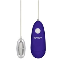Toy Joy Funky Splash, фиолетовое
Виброяйцо с выносным пультом управления