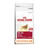 Сухой корм Royal Canin Fit для кошек (для нормальных активных) (2 кг)