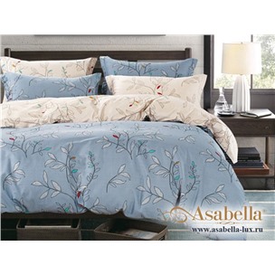 Комплект постельного белья Asabella 962 (размер евро)
