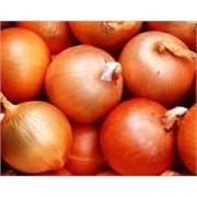 Лук