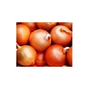 Лук