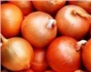 Лук
