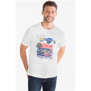 Футболка мужская C&A