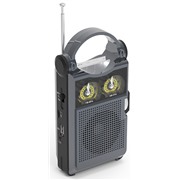 Радиоприемник Ritmix RPR-333 carbon