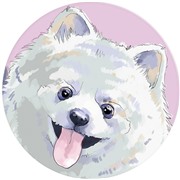 Держатель GRESSO Popsockets Животные №5 Шпиц
