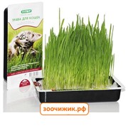 Лакомство TiTBiT трава для кошек