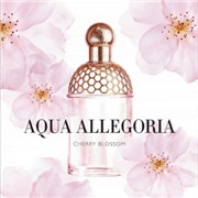 Guerlain  Aqua Allegoria Cherry Blossom 75ml