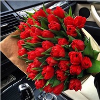 Букет из 51 тюльпана