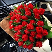 Букет из 51 тюльпана