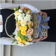 Солнечный зайчик