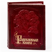 Родословная книга Изысканная кож.облож. с оплеткой (подар.упак.) 