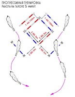 Упражнение на развитие стиля езды перед работой с препятствиями на галопе