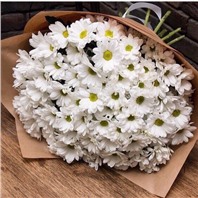 Букет из 15 веточек кустовых хризантем