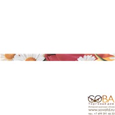 Бордюр Brazil Listelo Flowers 2  50х730 мм/16 шт купить по лучшей цене в интернет магазине стильных обоев Сова ТД. Доставка по Москве, МО и всей России