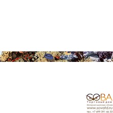 Бордюр Ocean Reef 2  5x50 купить по лучшей цене в интернет магазине стильных обоев Сова ТД. Доставка по Москве, МО и всей России