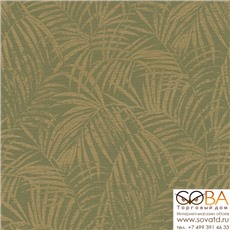 Обои Rasch 832129 Denzo 2 купить по лучшей цене в интернет магазине стильных обоев Сова ТД. Доставка по Москве, МО и всей России