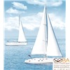 Панно Dec Regata Panno ( из 2-х шт) КПН16Regata 50х45, интернет-магазин Sportcoast.ru