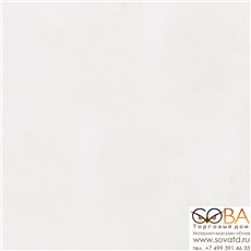 Керамогранит Alrami глаз,  серый (AM4R092D \ 16079) 42x42 купить по лучшей цене в интернет магазине стильных обоев Сова ТД. Доставка по Москве, МО и всей России