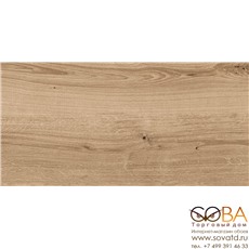 Керамогранит Woodhouse глаз.  темно-бежевый (C-WS4O152D) 29,7х59,8 купить по лучшей цене в интернет магазине стильных обоев Сова ТД. Доставка по Москве, МО и всей России
