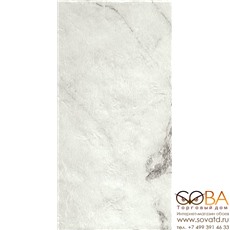 Керамогранит Serenissima Cir  Magistra Paonazzetto 40х60,8 купить по лучшей цене в интернет магазине стильных обоев Сова ТД. Доставка по Москве, МО и всей России