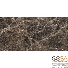 Керамогранит Rex Les Bijoux De Rex Marron Imperial Glossy (60x120)см 766335 (Италия) купить по лучшей цене в интернет магазине стильных обоев Сова ТД. Доставка по Москве, МО и всей России