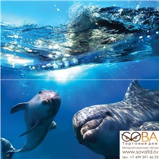 Панно Dolphins  50x50 купить по лучшей цене в интернет магазине стильных обоев Сова ТД. Доставка по Москве, МО и всей России