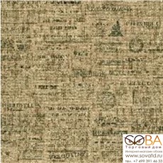 Обои Rasch 939019 Globe купить по лучшей цене в интернет магазине стильных обоев Сова ТД. Доставка по Москве, МО и всей России