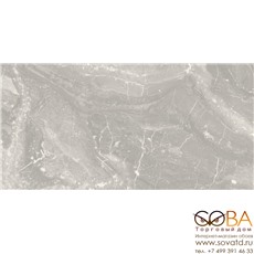 Керамогранит Azteca Nebula Silver (60x120)см 11-025-1 (Испания) купить по лучшей цене в интернет магазине стильных обоев Сова ТД. Доставка по Москве, МО и всей России
