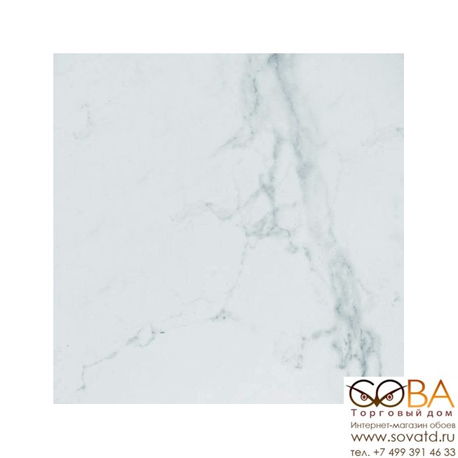 Керамическая плитка Porcelanosa Marmol Carrara Blanco Brillo (43.5x43.5)см P1459036 (Испания) купить по лучшей цене в интернет магазине стильных обоев Сова ТД. Доставка по Москве, МО и всей России