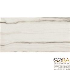 Керамогранит Rex Prexious Rex White Fantasy Mat (120x60)см 755833 (Италия) купить по лучшей цене в интернет магазине стильных обоев Сова ТД. Доставка по Москве, МО и всей России