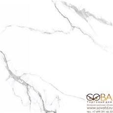 Керамогранит Neodom Sixty Mckinley Polished (60x60)см CV20208 (Индия) купить по лучшей цене в интернет магазине стильных обоев Сова ТД. Доставка по Москве, МО и всей России