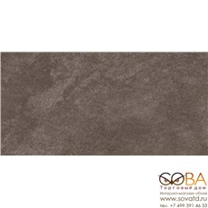 Керамогранит Orion глаз.  коричневый (C-OB4L112D)  29,7x59,8 купить по лучшей цене в интернет магазине стильных обоев Сова ТД. Доставка по Москве, МО и всей России