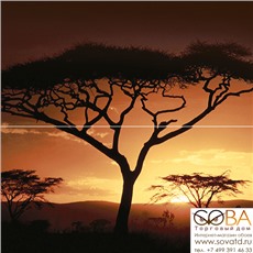 Панно Africa  P2-2D210 40х40 (из 2 плиток) купить по лучшей цене в интернет магазине стильных обоев Сова ТД. Доставка по Москве, МО и всей России