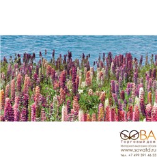 Декор Dec Flora  КВС16Flora 25х45 купить по лучшей цене в интернет магазине стильных обоев Сова ТД. Доставка по Москве, МО и всей России