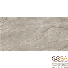 Керамогранит Atlas Concorde Russia Empire Silver Root (60x120)см 610010002187 (Россия) купить по лучшей цене в интернет магазине стильных обоев Сова ТД. Доставка по Москве, МО и всей России